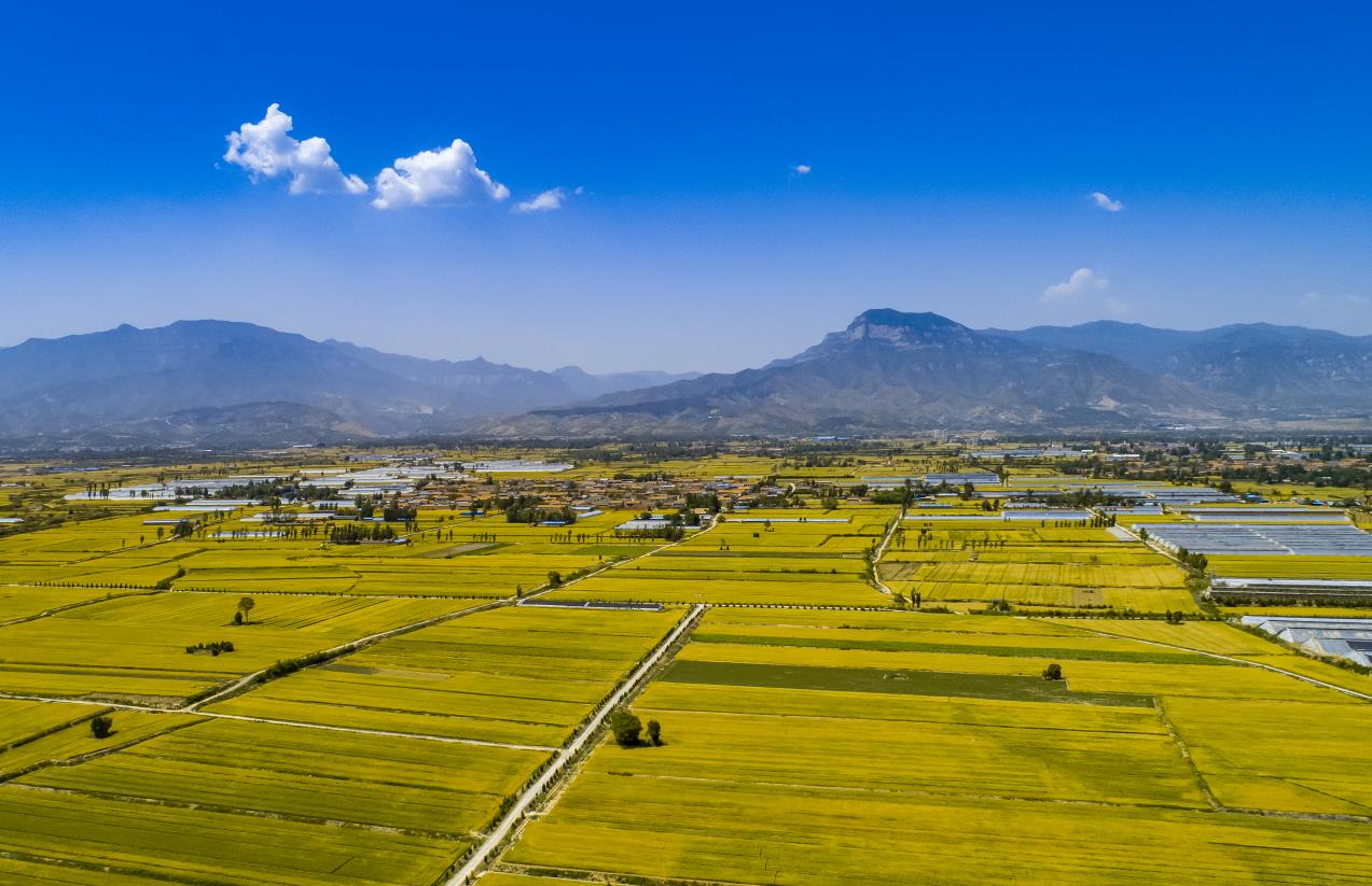 马首山 